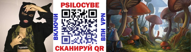 Галлюциногенные грибы Psilocybe  наркота  Саки 